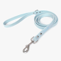 Ocean Blue Waterproof Dog Leash, 6ft