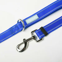Sapphire Nylon Dog Leash, 4-6ft