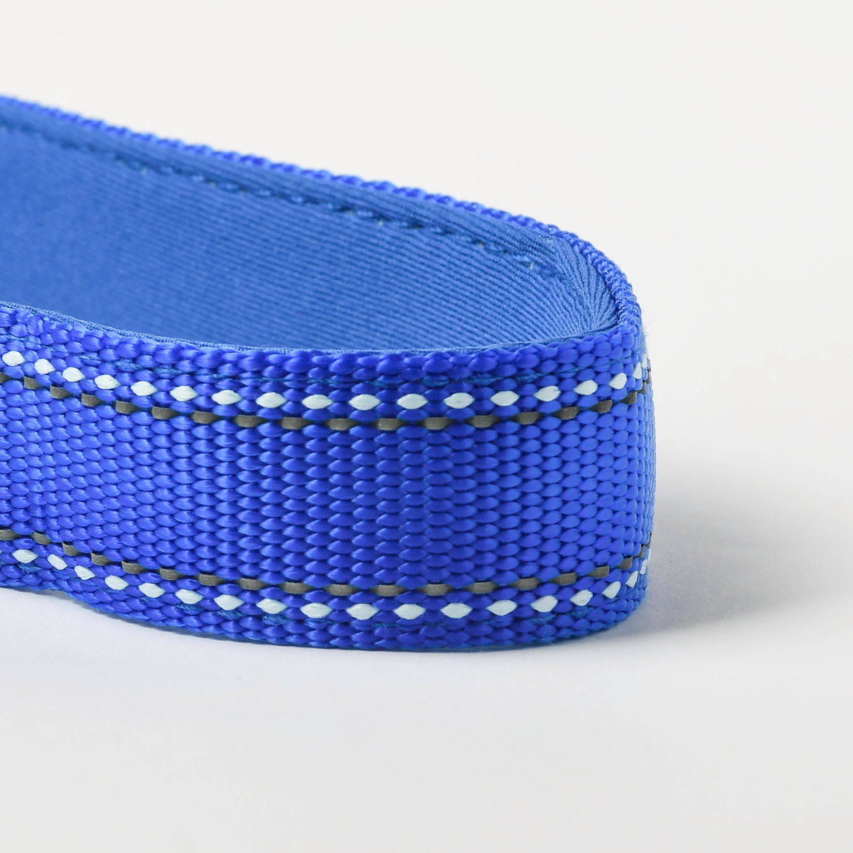 Sapphire Nylon Dog Leash, 4-6ft