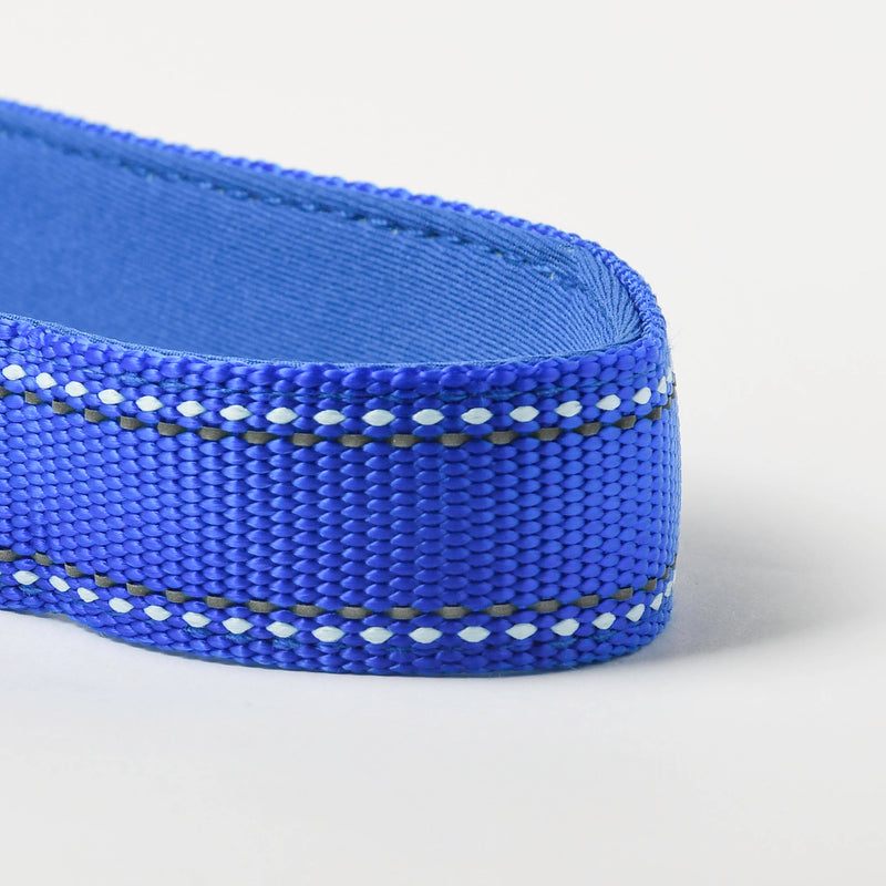 Sapphire Nylon Dog Leash, 4-6ft