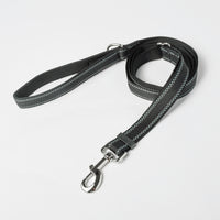 Midnight Black Nylon Dog Leash, 4-6ft
