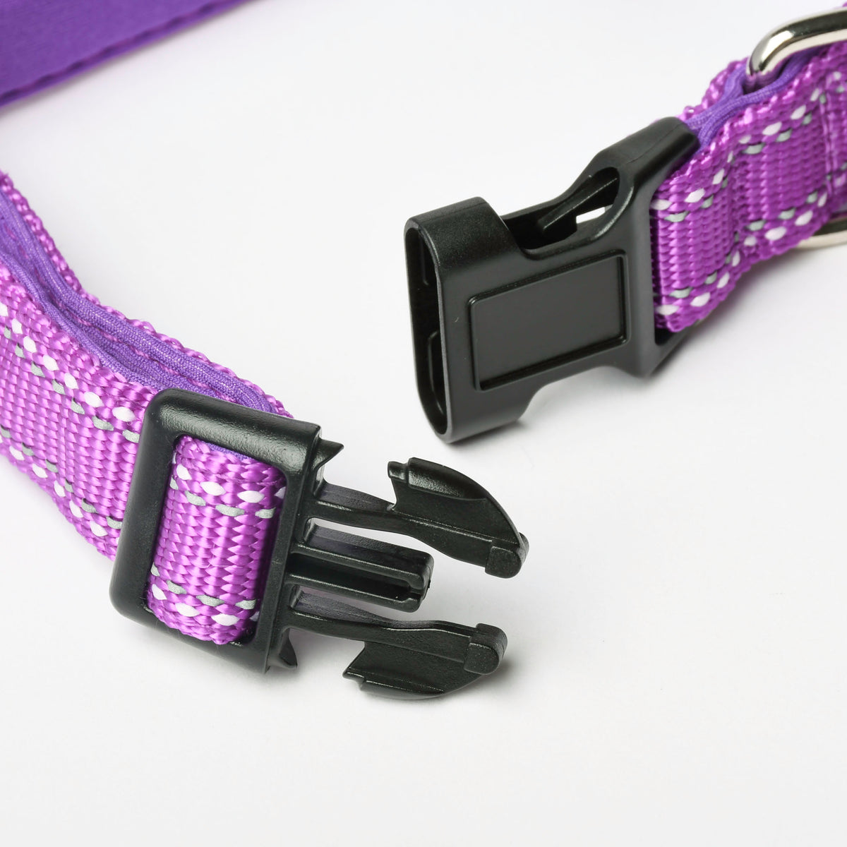 Grape Nylon Dog Collar