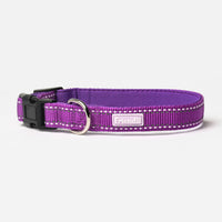 Grape Nylon Dog Collar