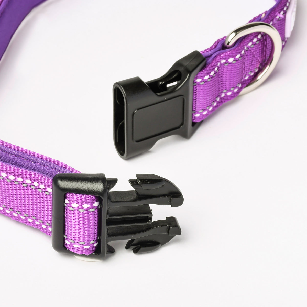 Grape Nylon Dog Collar