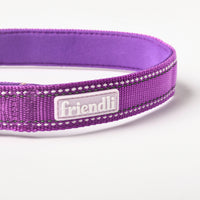 Grape Nylon Dog Collar