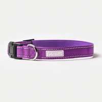 Grape Nylon Dog Collar