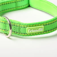 Lime Green Nylon Dog Collar