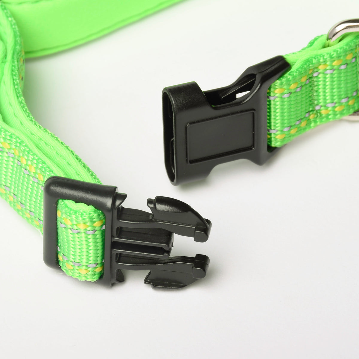 Lime Green Nylon Dog Collar