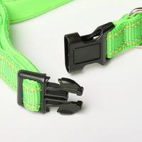 Lime Green Nylon Dog Collar
