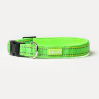 Lime Green Nylon Dog Collar