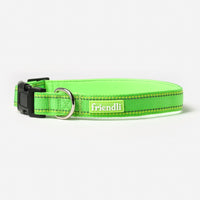 Lime Green Nylon Dog Collar