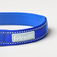 Sapphire Nylon Dog Collar