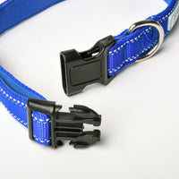 Sapphire Nylon Dog Collar