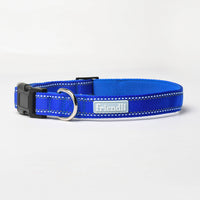 Sapphire Nylon Dog Collar
