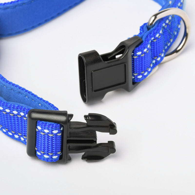 Sapphire Nylon Dog Collar