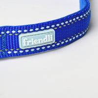 Sapphire Nylon Dog Collar