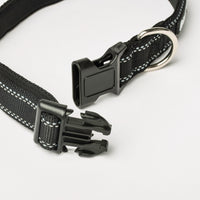 Midnight Black Nylon Dog Collar, L/XL