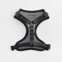 Midnight Dog Mesh Harness