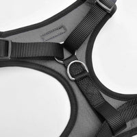 Midnight Dog Mesh Harness