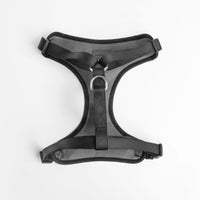 Midnight Dog Mesh Harness