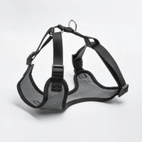Midnight Dog Mesh Harness