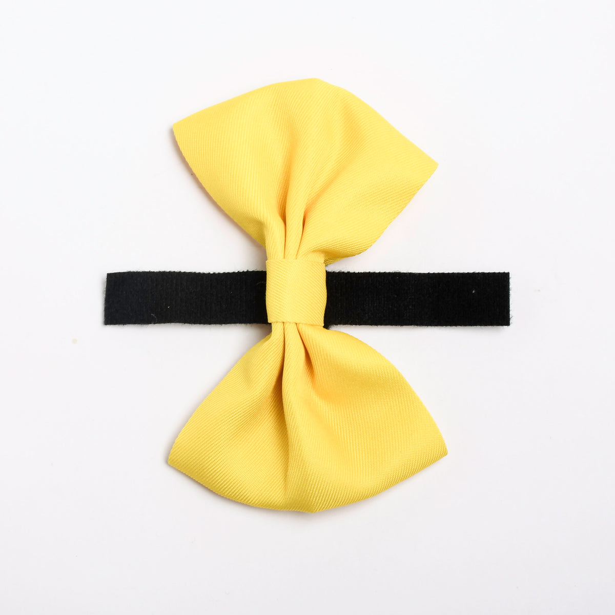 Sunshine Yellow Dog Bow Tie, 1ct