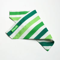 Green Dog Bandana, 1ct