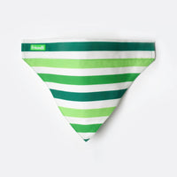 Green Dog Bandana, 1ct