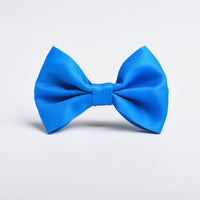 Blue Dog Bow Tie, 1ct