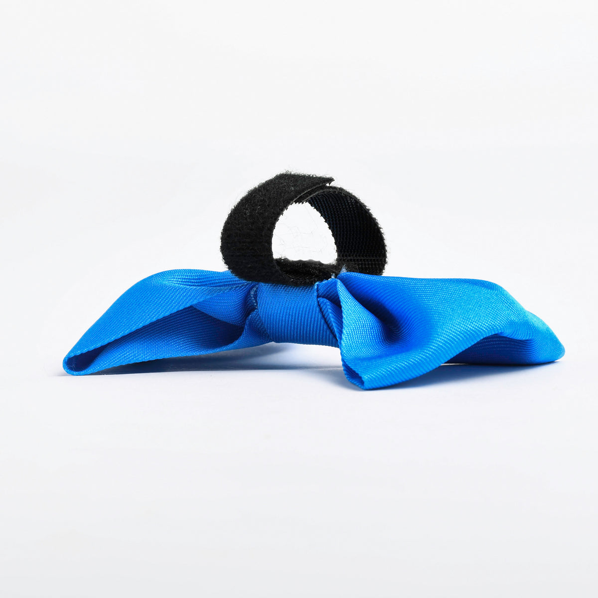 Blue Dog Bow Tie, 1ct