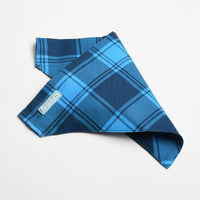 Blue Dog Bandana, 1ct