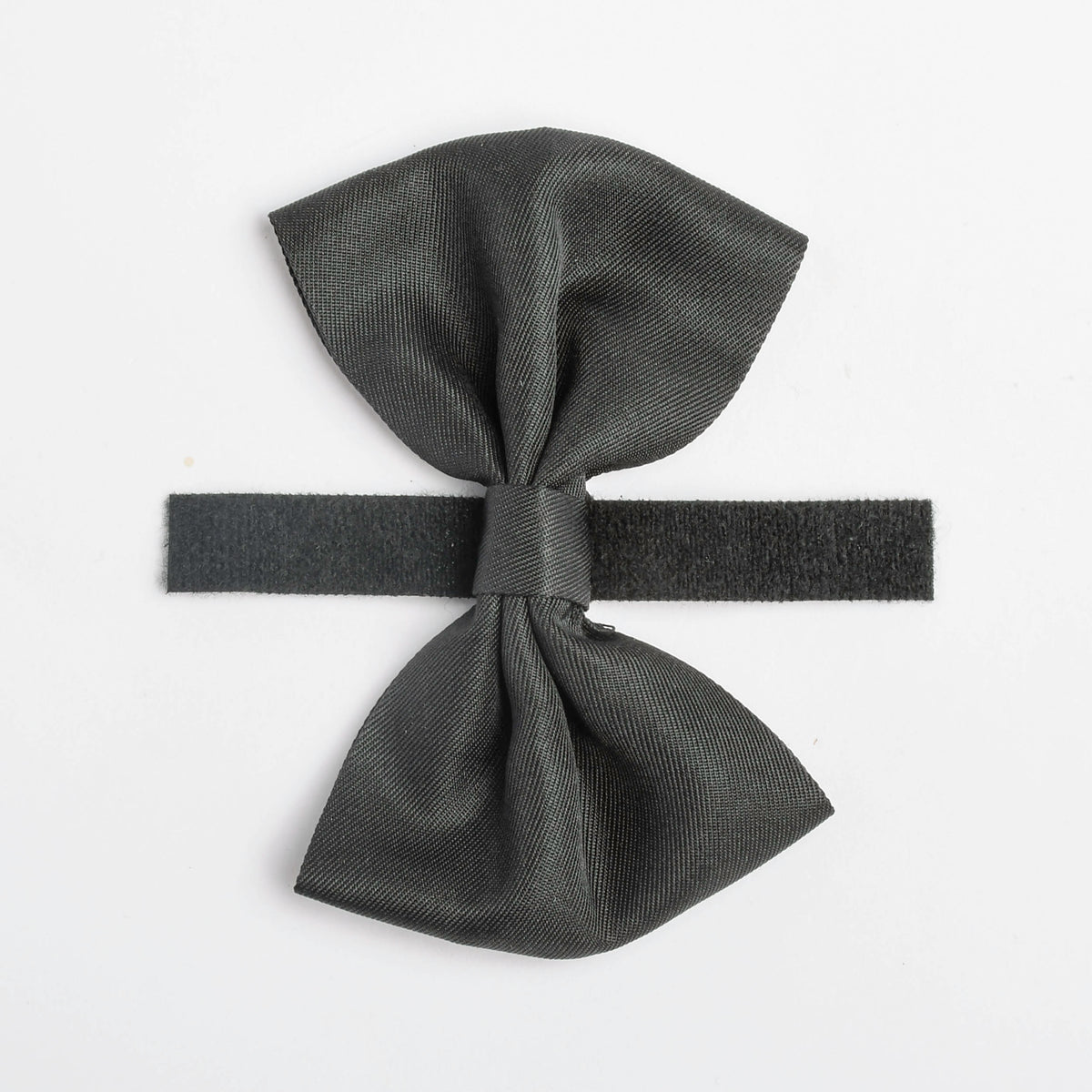Black Dog Bow Tie, 1ct