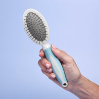 Beginner Grooming Tool Kit for Dogs