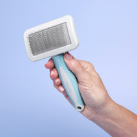 Beginner Grooming Tool Kit for Dogs