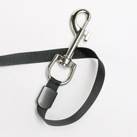 Bubblegum Retractable Small Pet Leash, Small