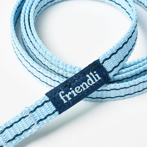Ocean Blue Small Pet Nylon Leash