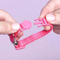 Quick Release Kitten Collars, 2ct