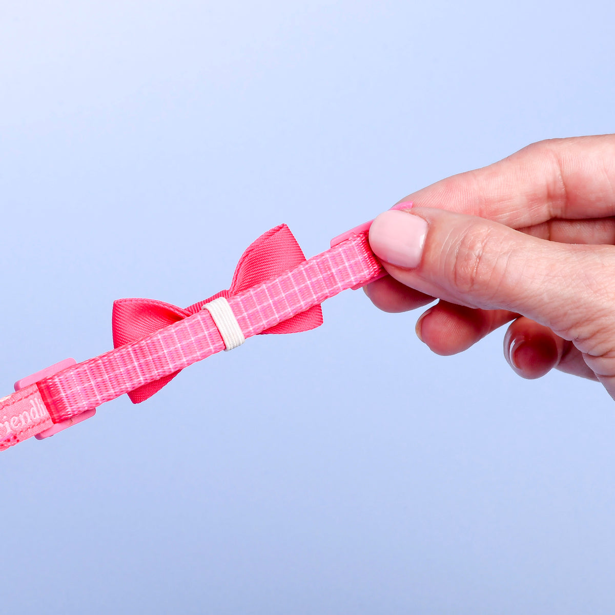 Quick Release Kitten Collars, 2ct