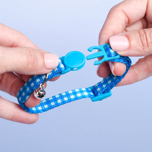 Quick Release Kitten Collar, 1ct