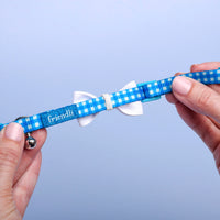 Quick Release Kitten Collar, 1ct