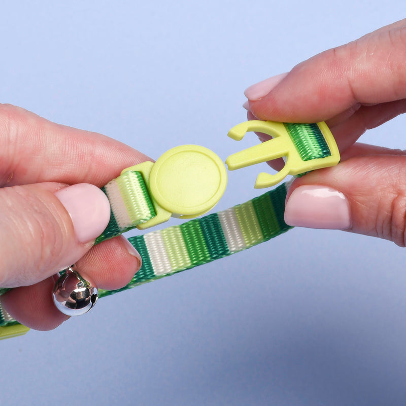 Quick Release Cat Collar, 1ct