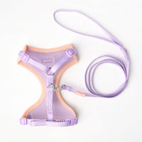 Cat Mesh Comfort Harness w/ Nylon Leash