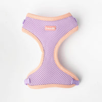 Cat Mesh Comfort Harness w/ Nylon Leash