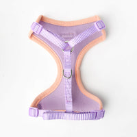 Cat Mesh Comfort Harness w/ Nylon Leash