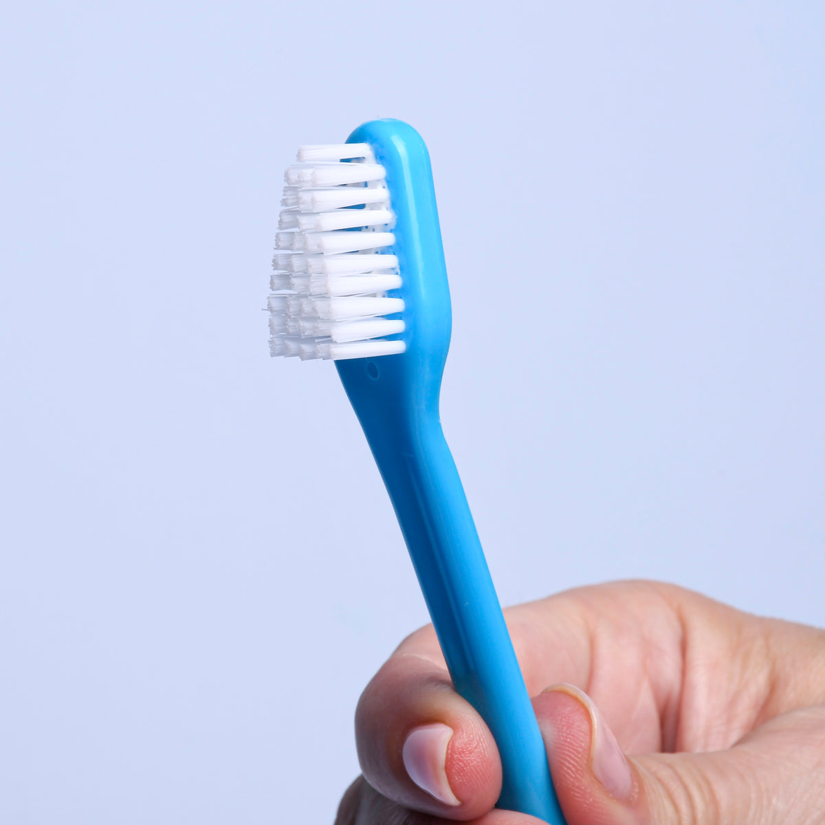 All-Natural Dog Dental Kit, 4ct