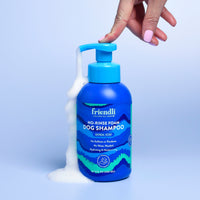 Oatmeal Dog No-Rinse Foam Shampoo, 16.9 fl oz