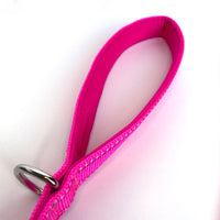 Hot Pink Nylon Dog Leash, 4-6ft