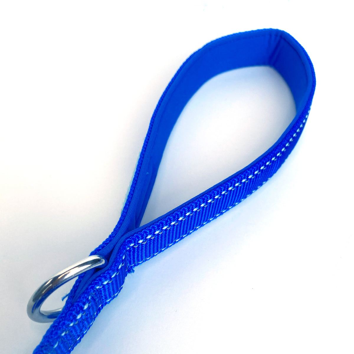 Sapphire Nylon Dog Leash, 4-6ft