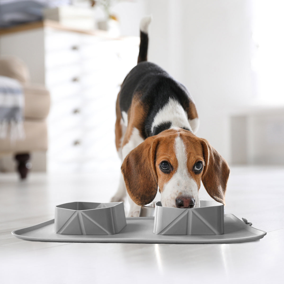 Dog Silicone Portable Travel Food Mat