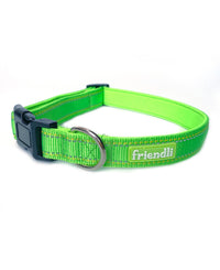 Lime Green Nylon Dog Collar